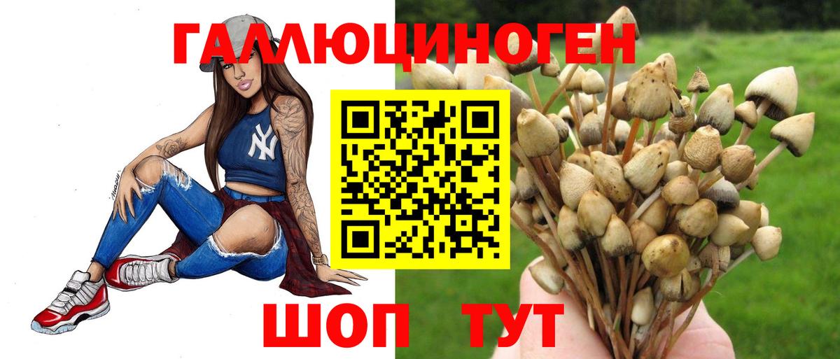 Псилоцибиновые грибы MAGIC MUSHROOMS  Псилоцибиновые грибы Psilocybine cubensis  Вход с VPN  Батайск 