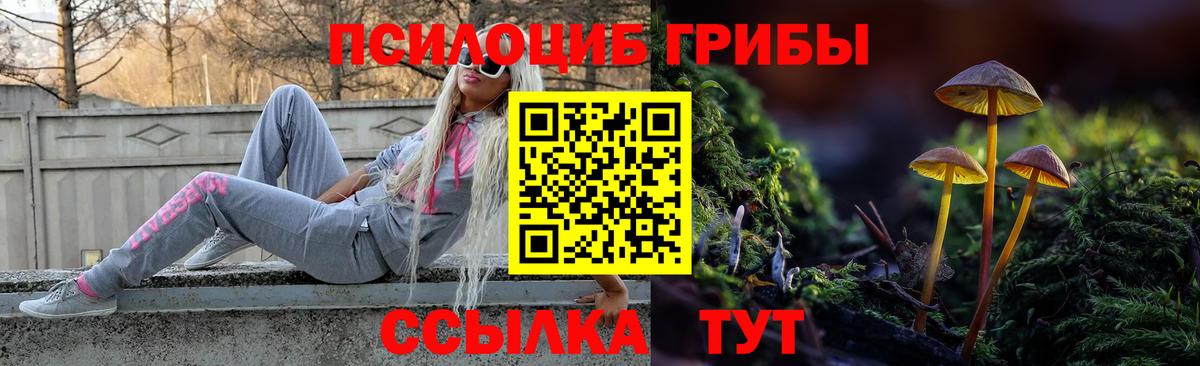 Галлюциногенные грибы GOLDEN TEACHER Батайск